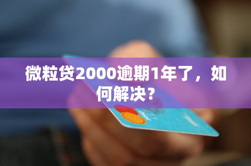 微粒贷2000逾期1年了，如何解决？