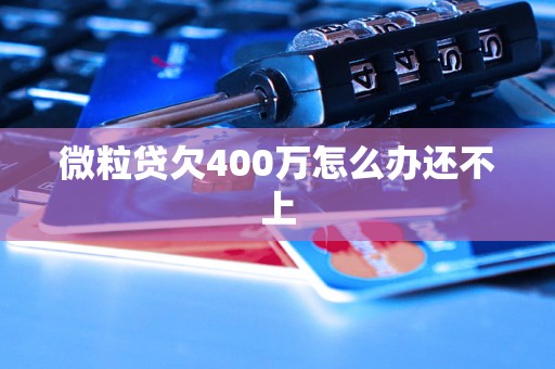 微粒贷欠400万怎么办还不上