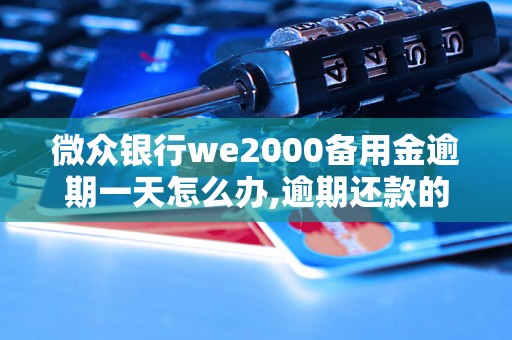 微众银行we2000备用金逾期一天怎么办,逾期还款的后果及处理方法