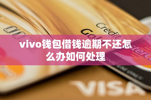 vivo钱包借钱逾期不还怎么办如何处理