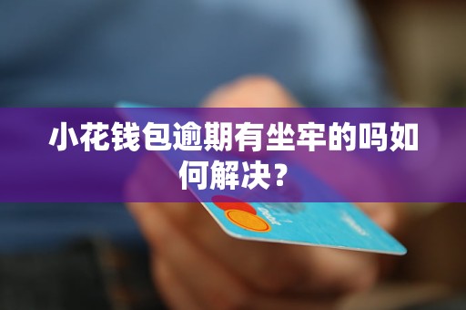 小花钱包逾期有坐牢的吗如何解决？