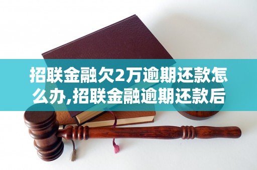 招联金融欠2万逾期还款怎么办,招联金融逾期还款后果及处理办法