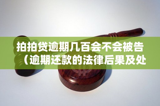 拍拍贷逾期几百会不会被告（逾期还款的法律后果及处理方法）