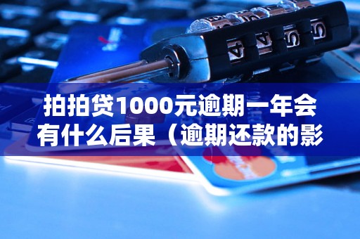 拍拍贷1000元逾期一年会有什么后果（逾期还款的影响和处理方法）