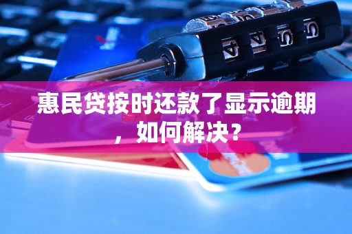 惠民贷按时还款了显示逾期，如何解决？