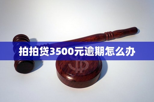 拍拍贷3500元逾期怎么办