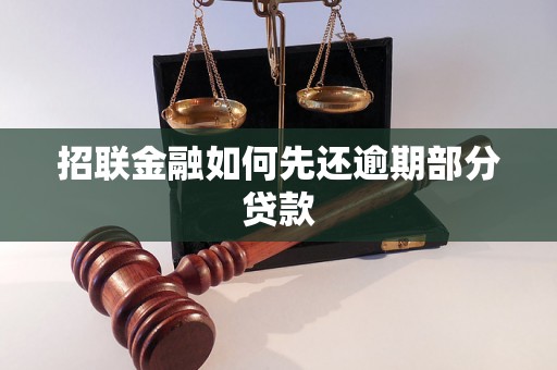 招联金融如何先还逾期部分贷款