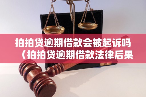 拍拍贷逾期借款会被起诉吗（拍拍贷逾期借款法律后果）