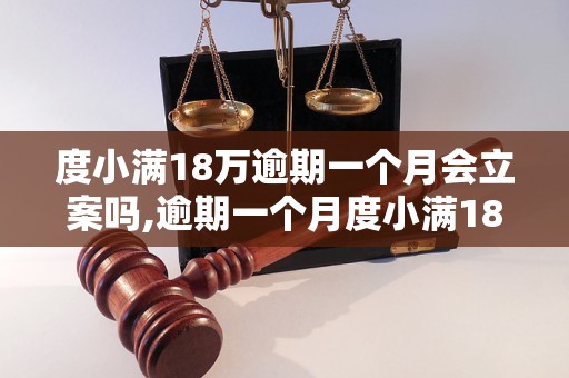 度小满18万逾期一个月会立案吗,逾期一个月度小满18万贷款会怎样处理