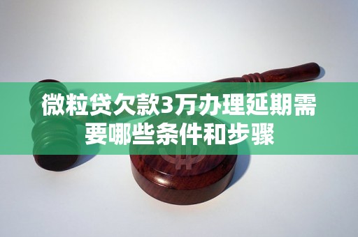 微粒贷欠款3万办理延期需要哪些条件和步骤