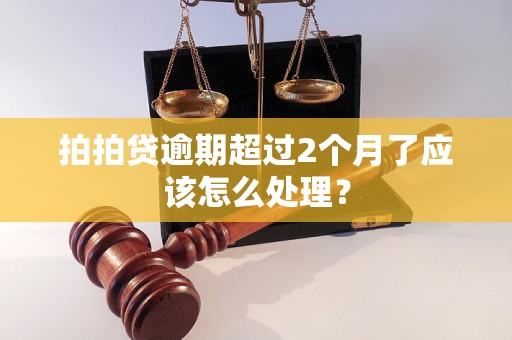 拍拍贷逾期超过2个月了应该怎么处理？