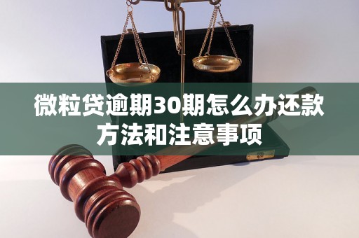 微粒贷逾期30期怎么办还款方法和注意事项