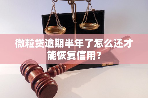 微粒贷逾期半年了怎么还才能恢复信用？