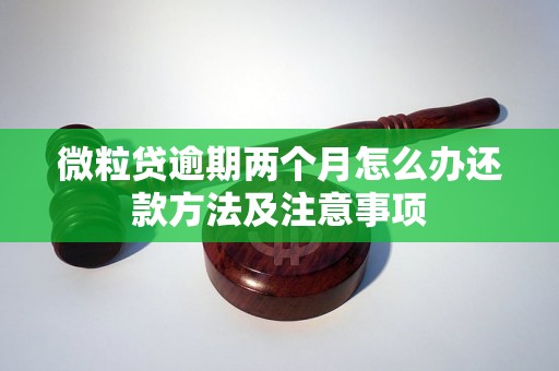 微粒贷逾期两个月怎么办还款方法及注意事项