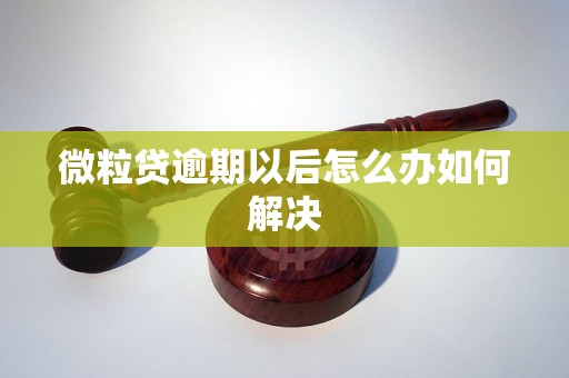 微粒贷逾期以后怎么办如何解决