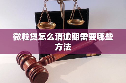 微粒贷怎么消逾期需要哪些方法