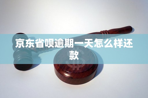 京东省呗逾期一天怎么样还款