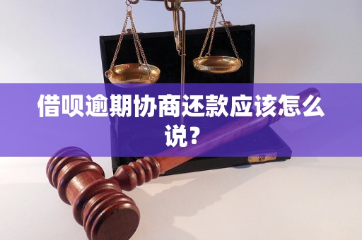 借呗逾期协商还款应该怎么说？