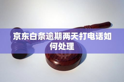 京东白条逾期两天打电话如何处理