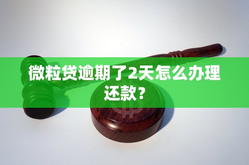 微粒贷逾期了2天怎么办理还款？