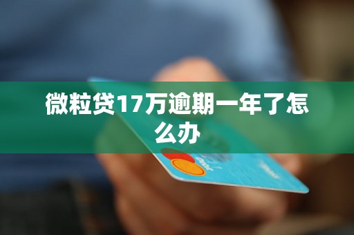 微粒贷17万逾期一年了怎么办