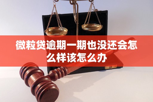 微粒贷逾期一期也没还会怎么样该怎么办