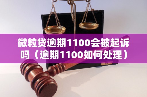 微粒贷逾期1100会被起诉吗（逾期1100如何处理）