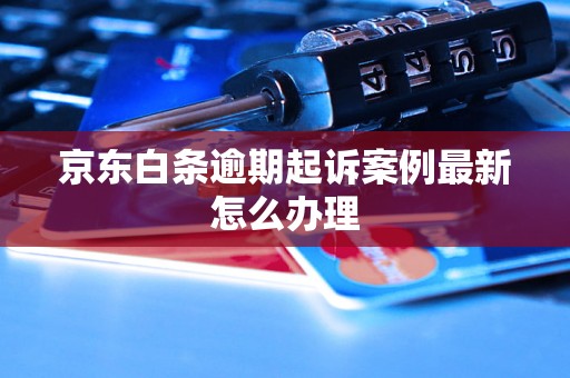 京东白条逾期起诉案例最新怎么办理