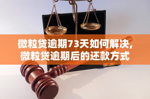 微粒贷逾期73天如何解决,微粒贷逾期后的还款方式