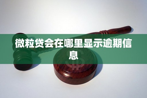 微粒贷会在哪里显示逾期信息