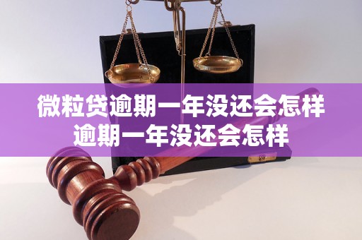 微粒贷逾期一年没还会怎样逾期一年没还会怎样