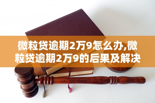 微粒贷逾期2万9怎么办,微粒贷逾期2万9的后果及解决方法