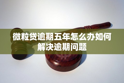 微粒贷逾期五年怎么办如何解决逾期问题