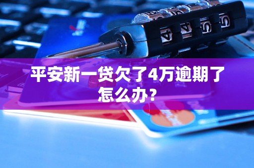 平安新一贷欠了4万逾期了怎么办？