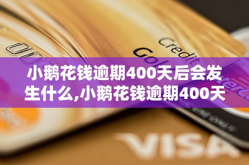 小鹅花钱逾期400天后会发生什么,小鹅花钱逾期400天的后果与处理方法