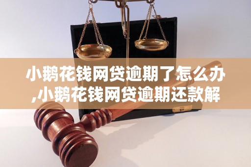 小鹅花钱网贷逾期了怎么办,小鹅花钱网贷逾期还款解决方案