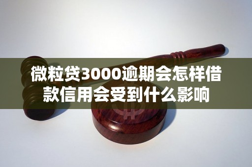 微粒贷3000逾期会怎样借款信用会受到什么影响