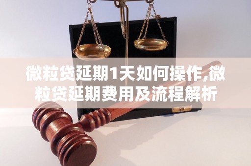 微粒贷延期1天如何操作,微粒贷延期费用及流程解析