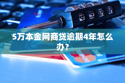 5万本金网商贷逾期4年怎么办？