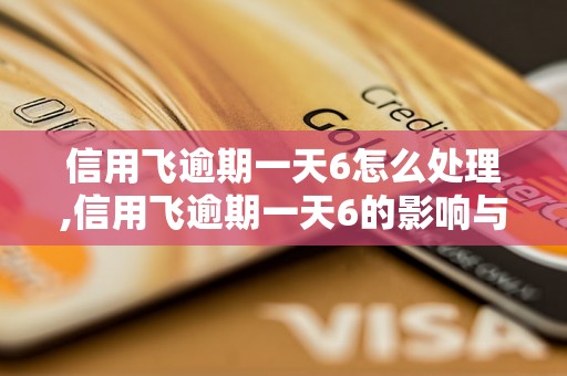 信用飞逾期一天6怎么处理,信用飞逾期一天6的影响与解决办法