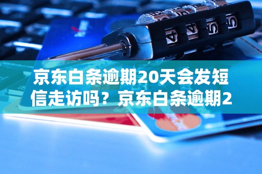 京东白条逾期20天会发短信走访吗？京东白条逾期20天会有什么后果？