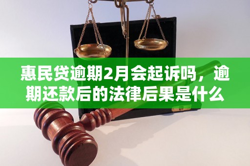 惠民贷逾期2月会起诉吗，逾期还款后的法律后果是什么