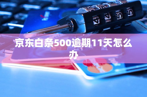 京东白条500逾期11天怎么办