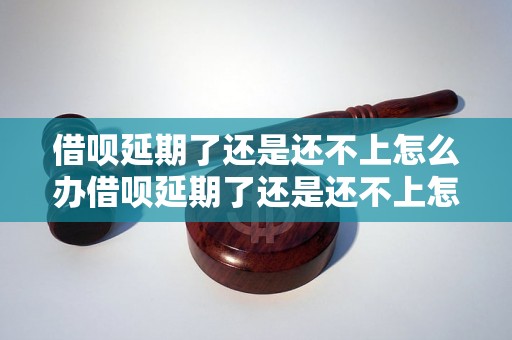 借呗延期了还是还不上怎么办借呗延期了还是还不上怎么办