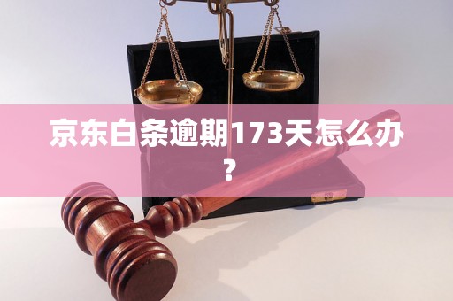 京东白条逾期173天怎么办？