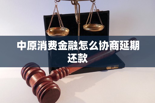 中原消费金融怎么协商延期还款