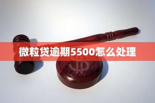 微粒贷逾期5500怎么处理