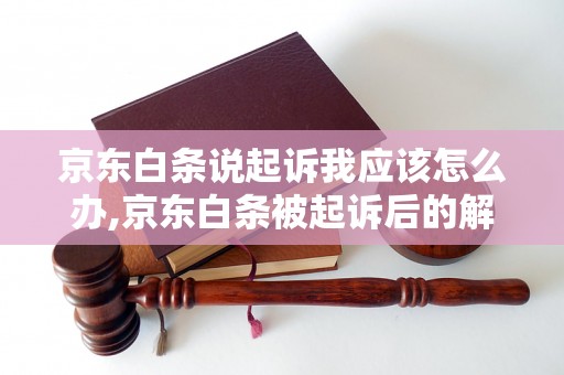 京东白条说起诉我应该怎么办,京东白条被起诉后的解决方案