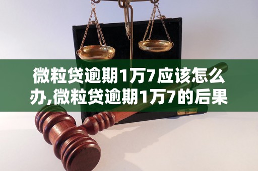 微粒贷逾期1万7应该怎么办,微粒贷逾期1万7的后果及处理办法