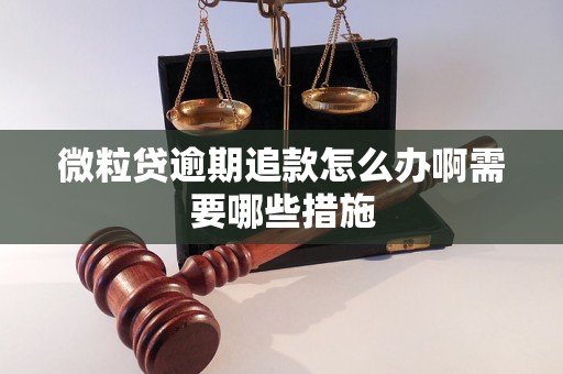 微粒贷逾期追款怎么办啊需要哪些措施